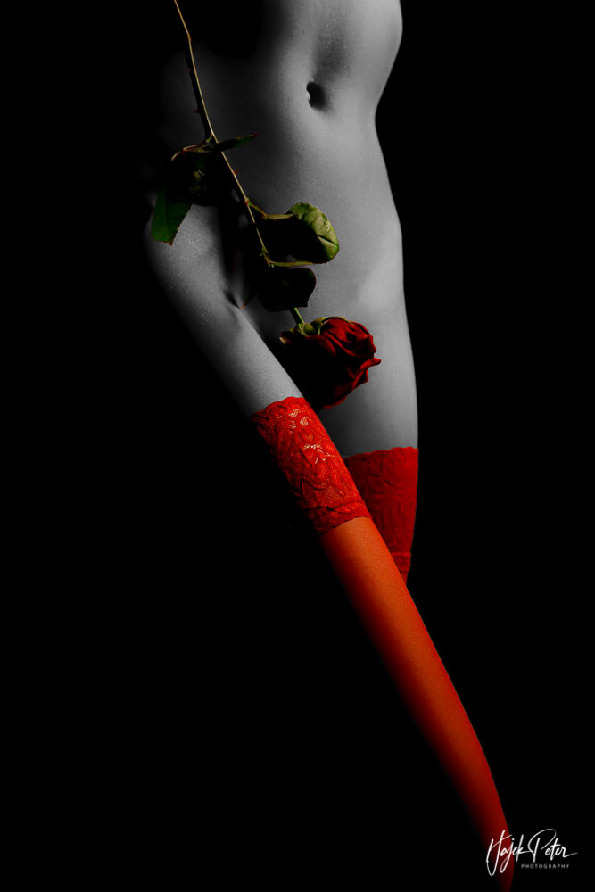 A0F9B9B0-A2DA-483B-A5E5-8242A0DEB592.jpg A0F9B9B0-A2DA-483B-A5E5-8242A0DEB592.jpg
